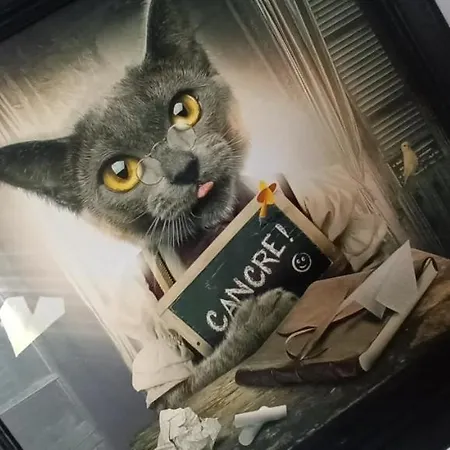 Villa Du Homard Bleu